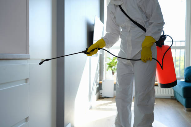 Best Residential Mold Remediation in Prescott, AZ