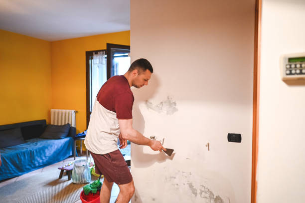 Best Mold Testing and Inspection Services in Prescott, AZ